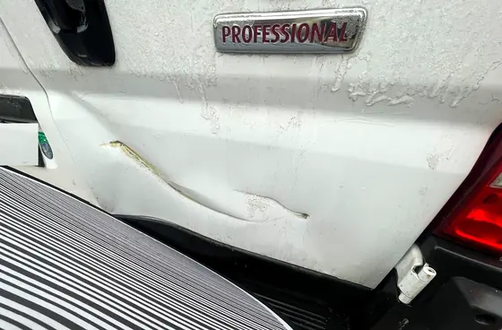 Kastenwagen-Wohnmobil auf Fiat Ducato: Delle in der Hecktür