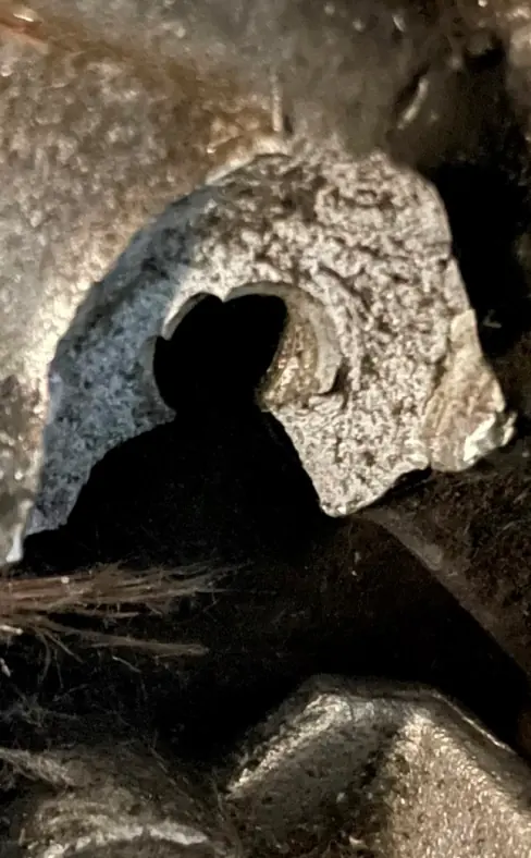 Pkw mit Zahnriemenmotor: Bruchstück im Detail