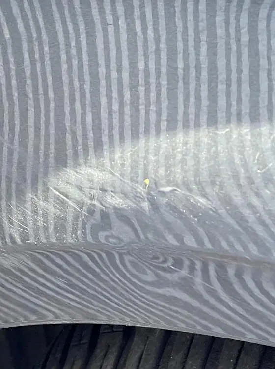 Audi A3 Sportback: Kotflügel im Detail